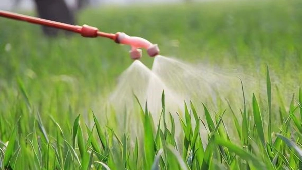 Pesticidi e fertilizzanti